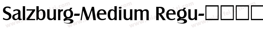 Salzburg-Medium Regu字体转换